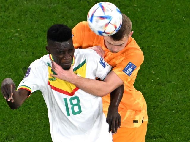 1669061805054043693.jpg 1.jpg